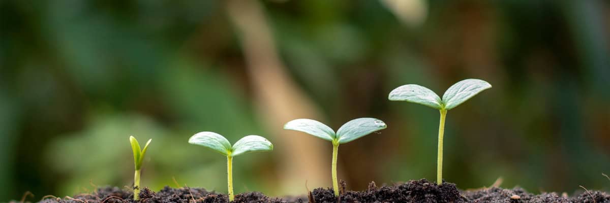 growing spiritually