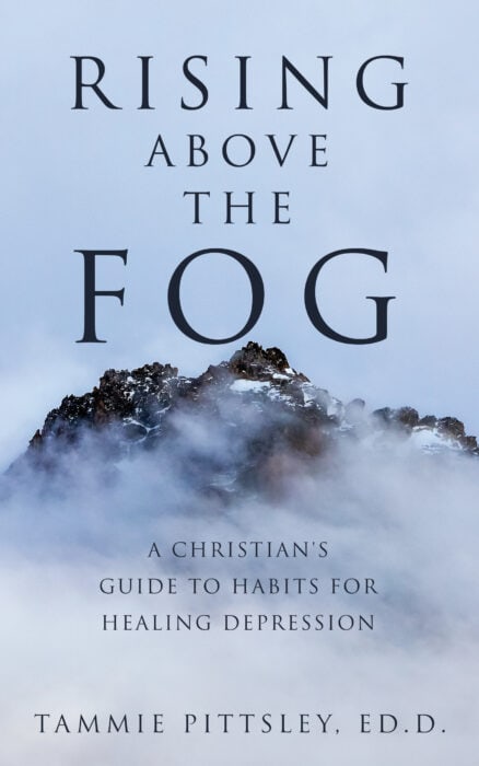 Rising Above the Fog Overcoming Depression Rising Above the Fog Overcoming Depression